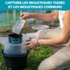 Mostiky: 30 Films adhésifs Compatible piège pondoir Biogents BG-Gat. Sticky Cards – Image 4