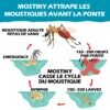Mostiky: 30 Films adhésifs Compatible piège pondoir Biogents BG-Gat. Sticky Cards – Image 7